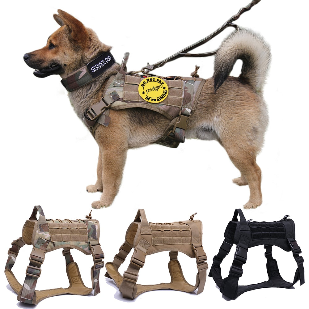 Military Tactical Dog Harness with Handle & Bungee Leash
