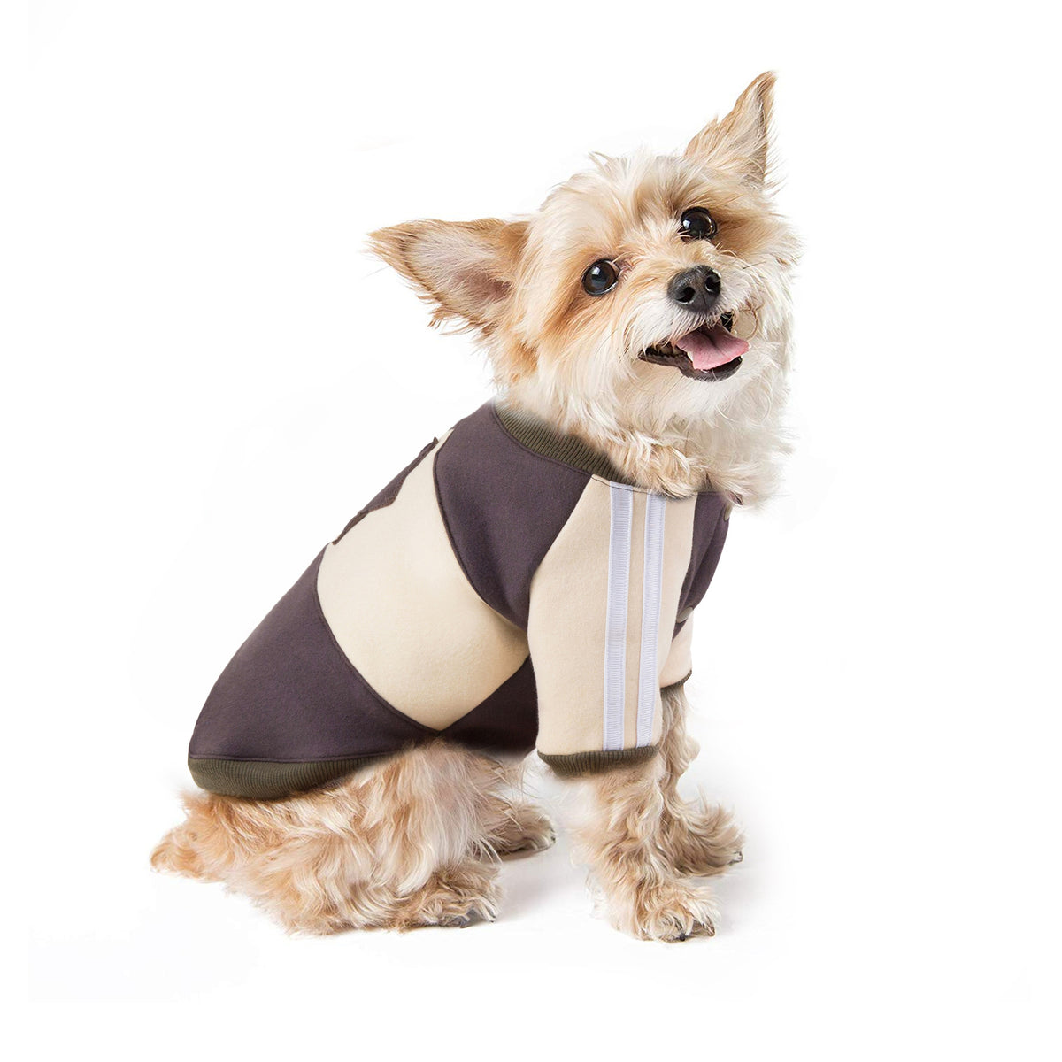 Dog Clothes Autumn And Winter Clothes Pet Clothes Sweater Teddy Clothes Hooded Cat Clothes   Fleece