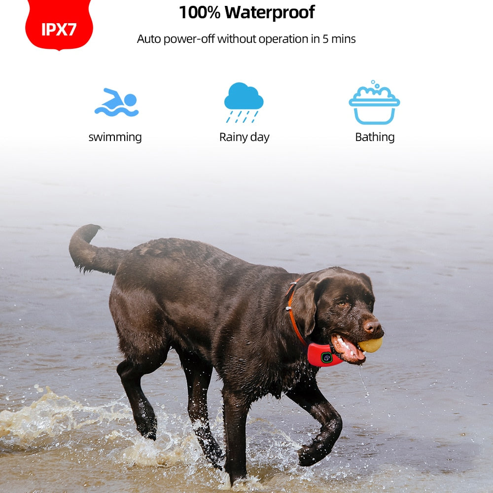 1000ft Range Waterproof Dog Training Collar