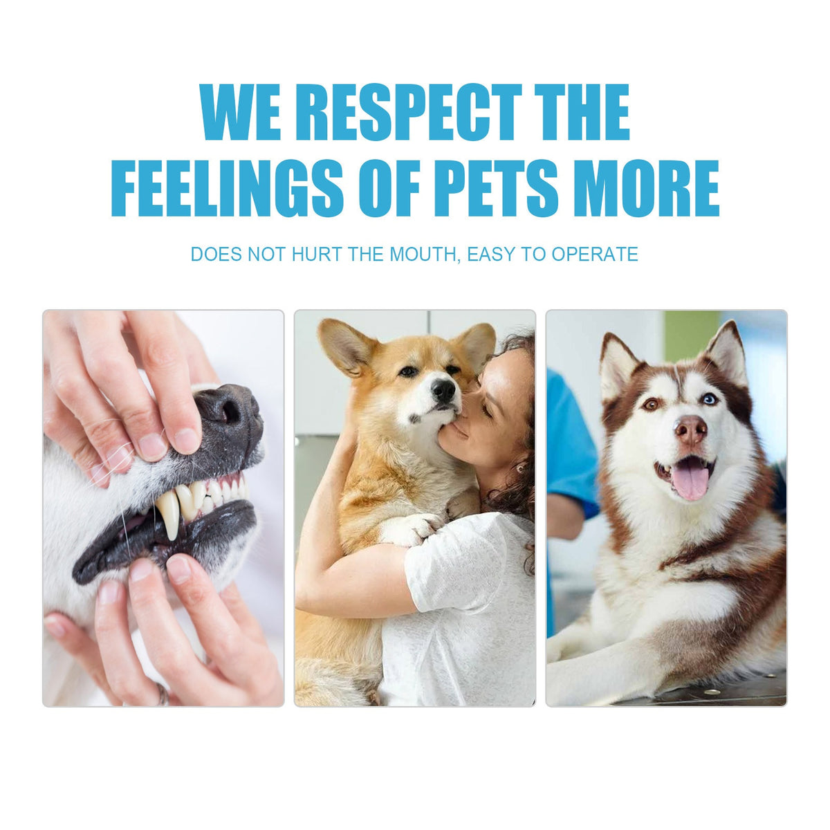 Edible Toothpaste for Dogs & Cats — Fresh Breath & Clean Teeth