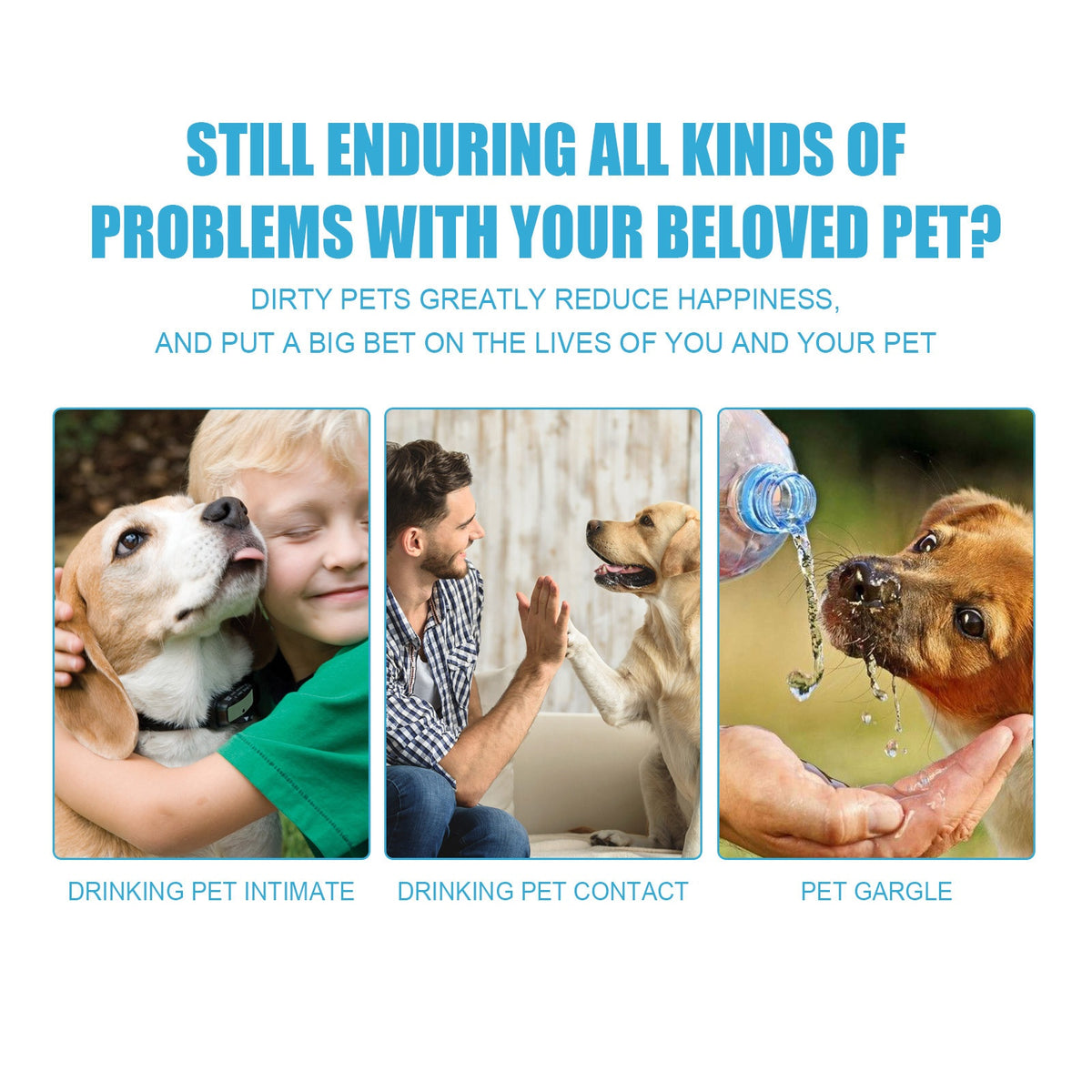 Edible Toothpaste for Dogs & Cats — Fresh Breath & Clean Teeth