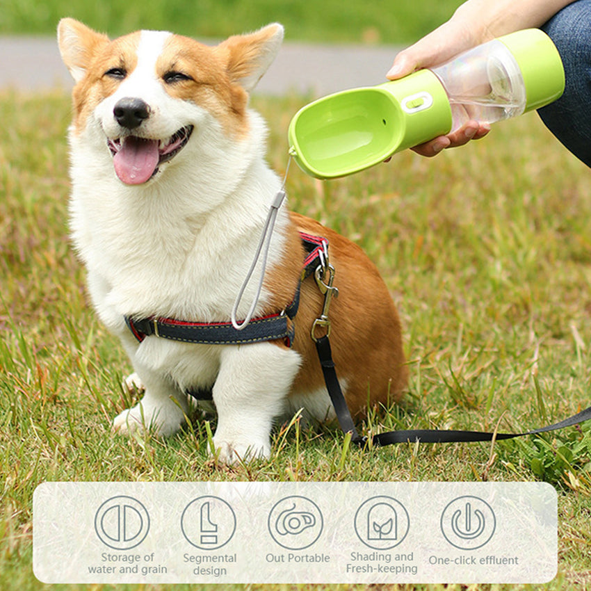 Portable Water Bottle & Feeder Bowl for Dogs & Cats