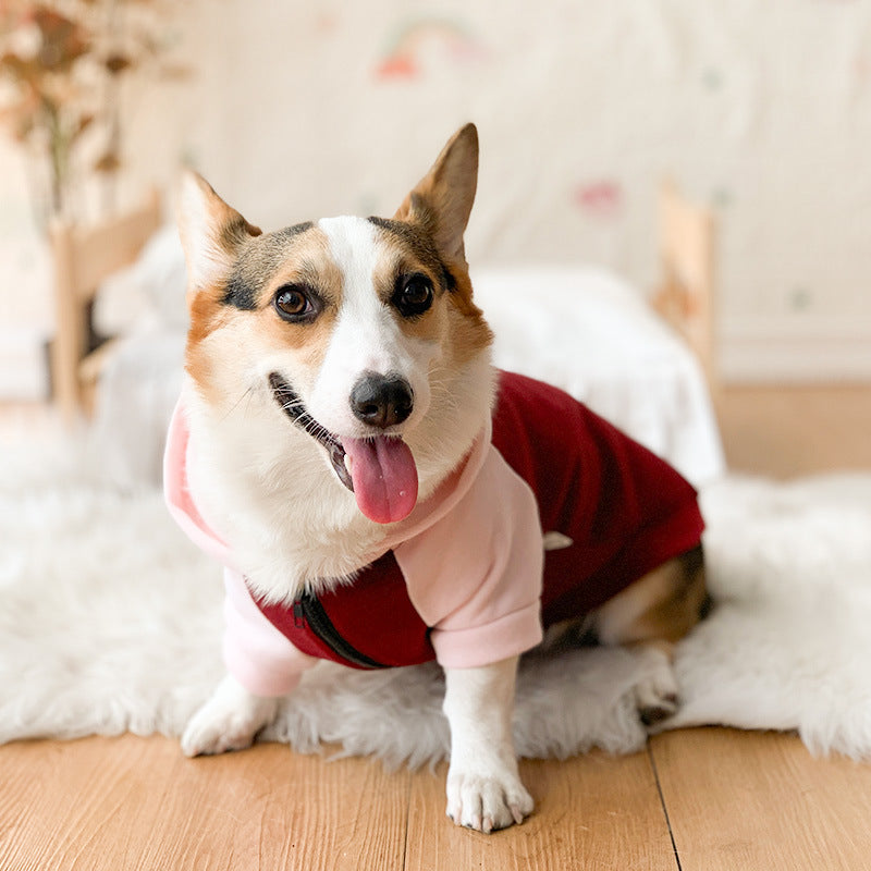 Shedding Prevention Clothes for Corgi & Small Dogs