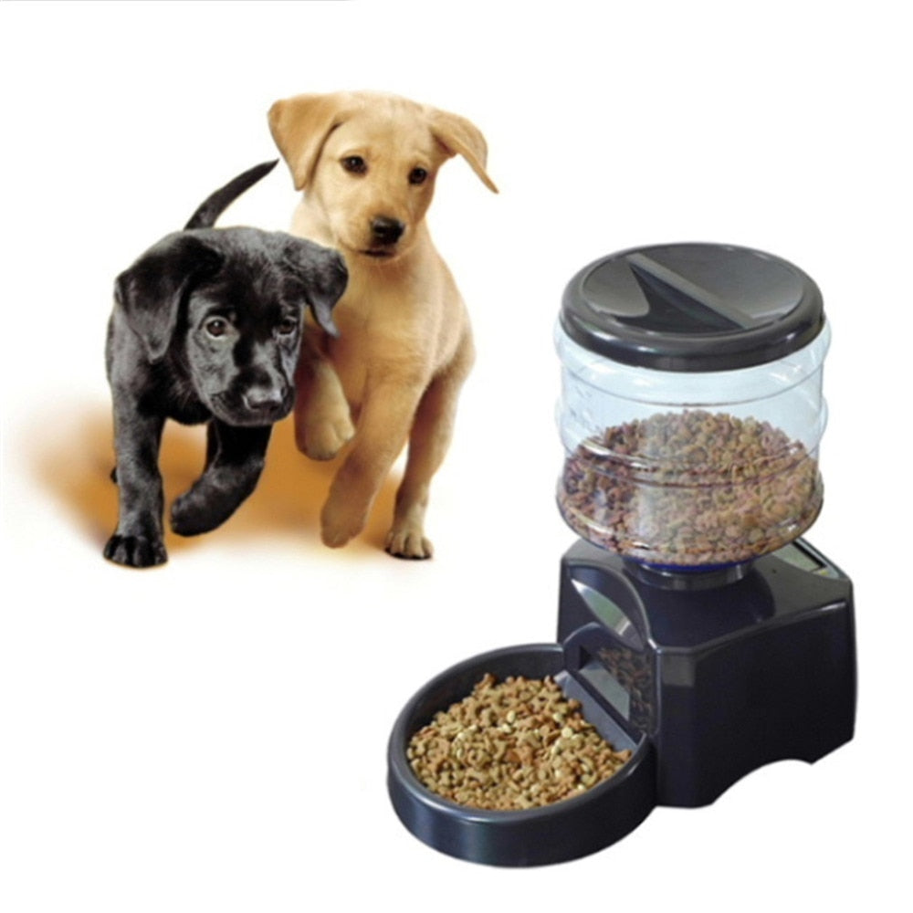 Automatic Pet Feeder with Voice Recording & LCD Screen