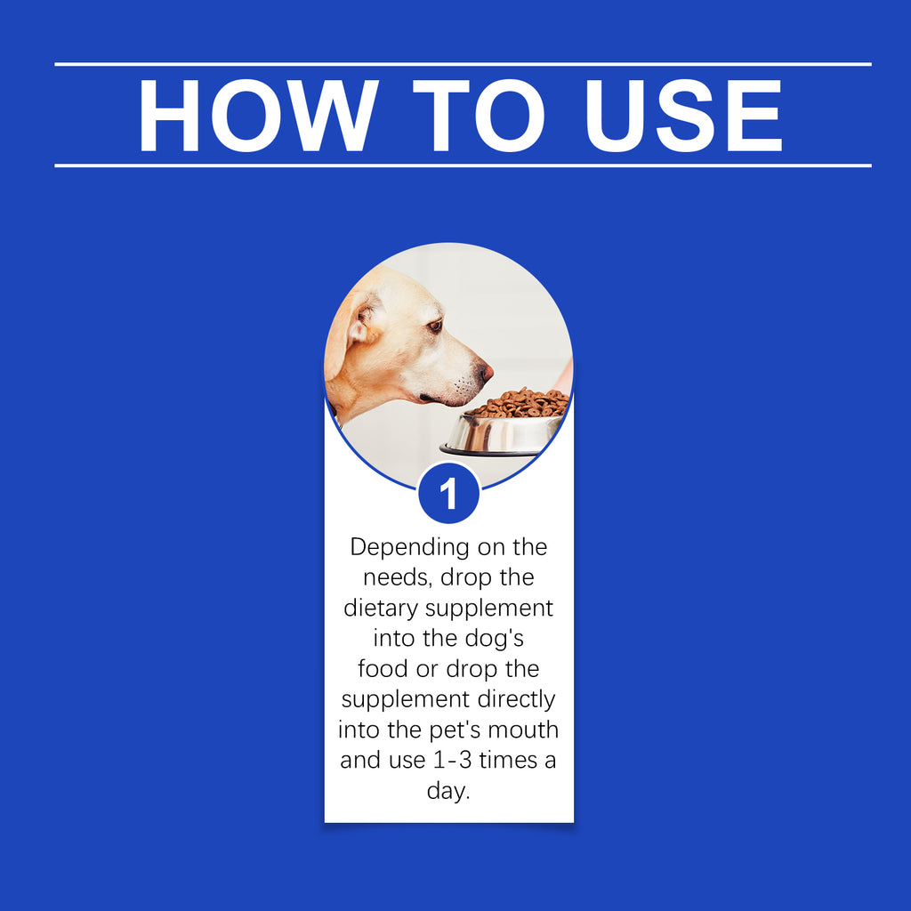 Joint Health Supplement for Dogs