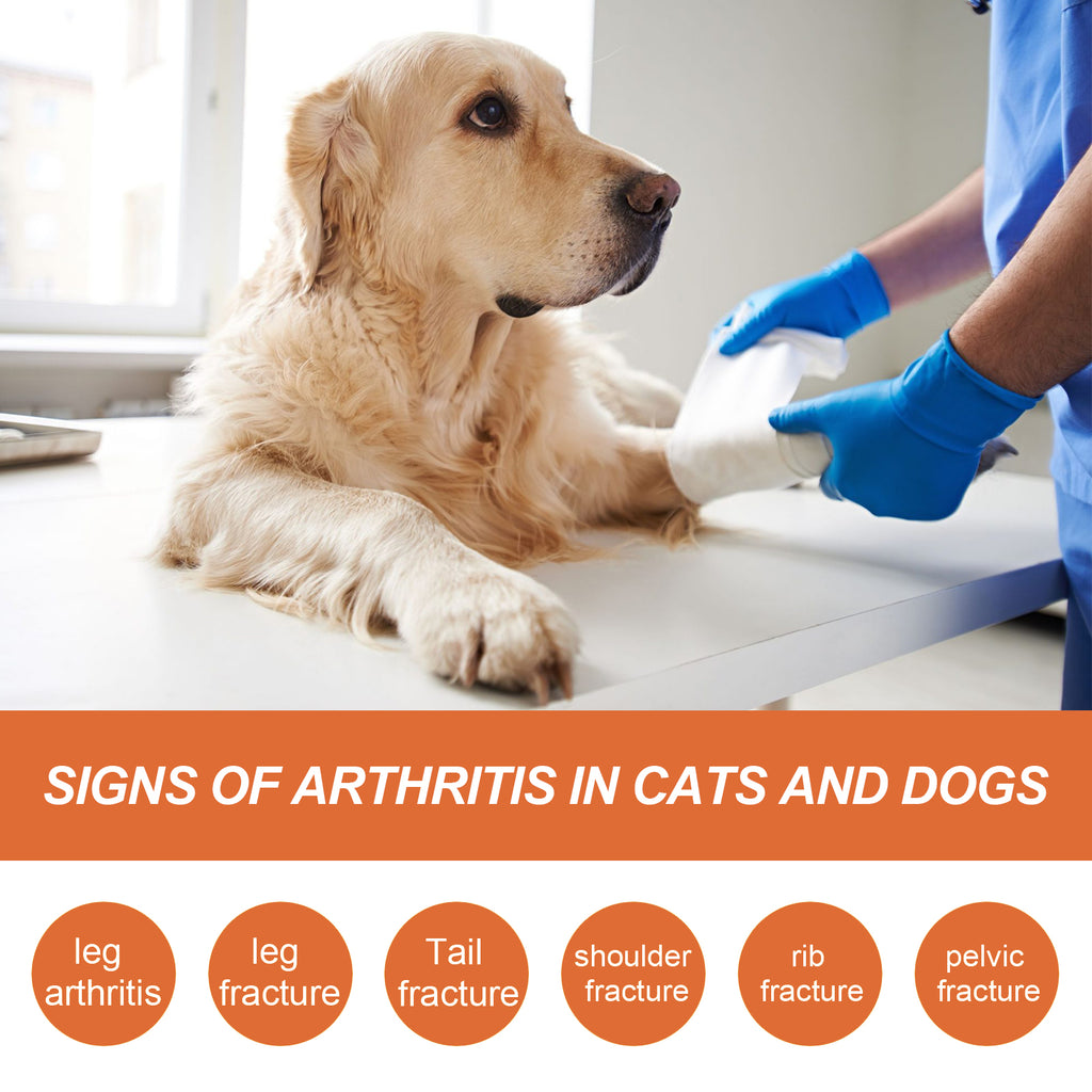 Joint Relief Spray for Dogs & Cats