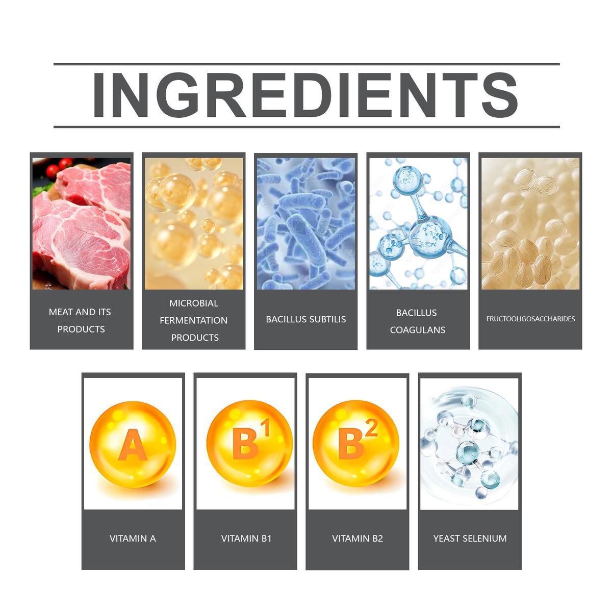 Daily Probiotic Tablets for Dogs & Cats