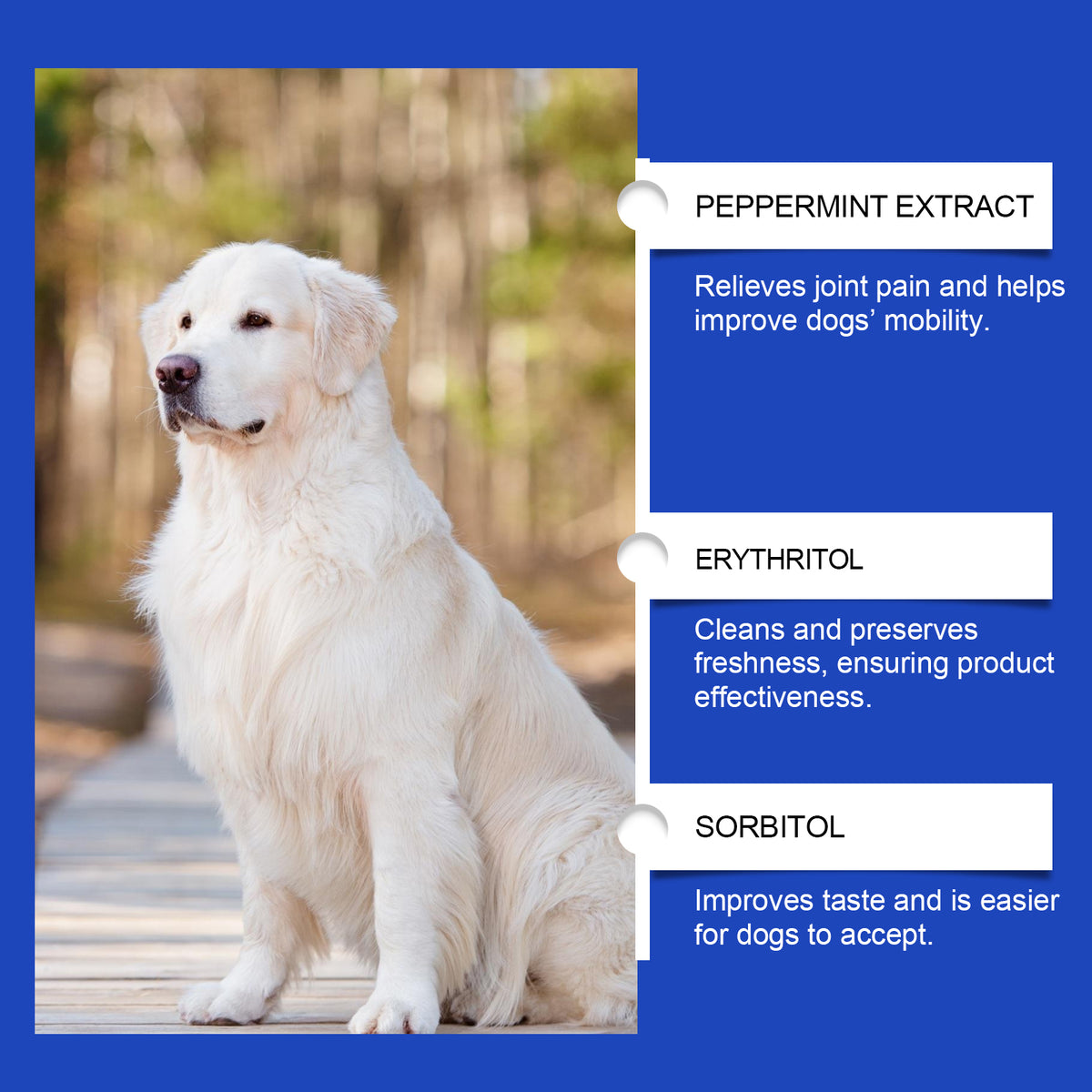 Joint Health Supplement for Dogs